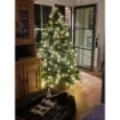 Künstlicher Premium Weihnachtsbaum Nordmanntanne LED, 180 cm hoch