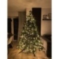 Künstlicher Premium Weihnachtsbaum Nordmanntanne LED, 210 cm hoch