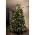 Künstlicher Premium Weihnachtsbaum Nordmanntanne LED, 240 cm hoch