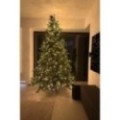 Künstlicher Premium Weihnachtsbaum Nordmanntanne LED, 270 cm hoch