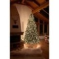 Künstlicher Premium Weihnachtsbaum Nordmanntanne LED, 300 cm hoch