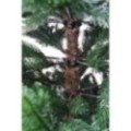 Künstlicher Weihnachtsbaum Premium Nordmanntanne, 150 cm hoch