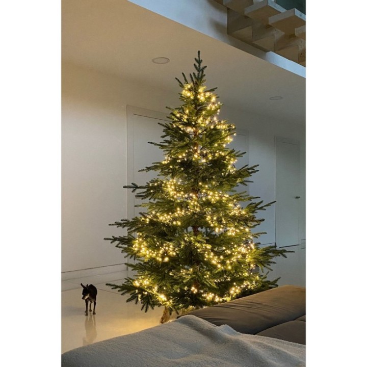 Künstlicher Premium Weihnachtsbaum Fichte, 210 cm hoch