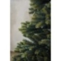 Weihnachtsbaum Tannenbaum Tanne zweifarbig JODLA 210