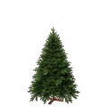 Künstlicher Weihnachtsbaum Premium Nordmanntanne, 150 cm hoch