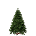 Künstlicher Premium Weihnachtsbaum Nordmanntanne, 180 cm hoch