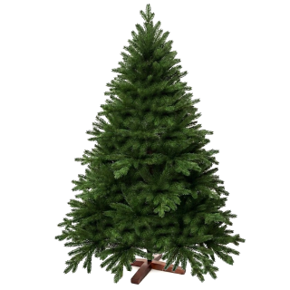 Künstlicher Premium Weihnachtsbaum Nordmanntanne, 300 cm hoch