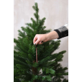 Duftstäbchen mit Haken für Weihnachtsbaum in verschiedenen Duftnoten - Zimt